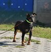 Bryk - 4