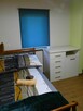 Dom całoroczny Haczów Plantacja Wierzby Agro - wynajmę - 13