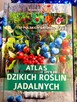 Książki stan dobry i bardzo dobry - 11