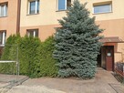 Sprzedam kawalerkę - 7