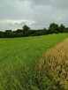 Sprzedam dom - 4