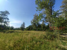 Działka budowlana Grabnik gm. Jaktorów, - 4