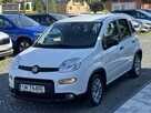 Fiat Panda Serwis ASO Salon Polska Poleasingowy I właściciel VAT 23% Bezwypadkowy - 4