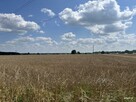 Działka rolno-budowlana Ceranów - 2