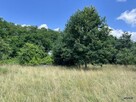 Działka rolno-budowlana Ceranów - 5