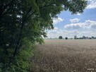 Działka rolno-budowlana Ceranów - 13