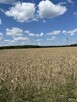 Działka rolno-budowlana Ceranów - 15