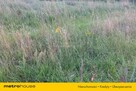 Działka 1700 m² z własnym stawem blisko Gdańska - 2