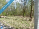 Nowa Wieś 10153 m2 (miedzy Pruszkowem i Komorowem) - 3