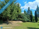Dom i więcej – 45 arów przestrzeni, widok na Beskid Niski - 9
