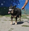 Felek - 3