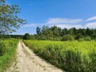 Działka budowlana w Skrzynce, gmina Szczucin - 4