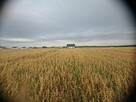 Małkowo ul. Zielona wydane warunki zabudowy uzbrojona - 4