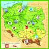 Nauczyciel geografii i doradztwa zawodowego - 2