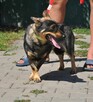 Jagódka - 3