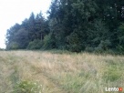 Chojnów działki budowlane - 1