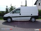 TRANSPORT TANIO POZNAN ORAZ KRAJ - 2
