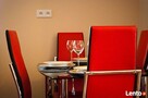 Nosal Residence & SPA Apartments - 2