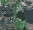 Zielony Raj k. Bydgoszczy - 2