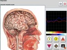 Szkolenie z zakresu NLS, Oprogramoiwanie, sprzedaż diagnosty - 4