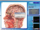 Diagnostyka NLS: Metatron, Diacom, 3D-NLS, inne - sprzedaż i - 2