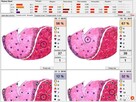 Szkolenie z zakresu NLS, Oprogramoiwanie, sprzedaż diagnosty - 3