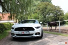 Samochód do Ślubu! Biały Mustang 2016! - 6