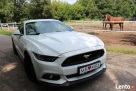 Samochód do Ślubu! Biały Mustang 2016! - 7
