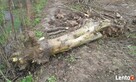 Koszenie, grabienie;wszelkich terenów-Karczowanie !!!!! - 2