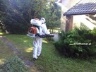 Odkomarzanie i likwidacja insektów w ogrodzie - 4