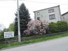 SPRZEDAM DOM - 1