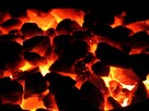 EKOGROSZEK SKARBEK BOBREK Oryginalnie Pakowany worek 25kg - 3