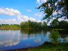 Działka...ładnie , tanio i szybko. - 3