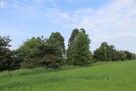 Działka rekreacyjna - Jankowice - 2