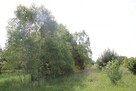 Działka rekreacyjna - Jankowice - 3
