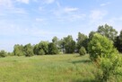 Działka rekreacyjna - Jankowice - 4