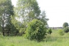 Działka rekreacyjna - Jankowice - 5