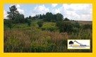 BRUDZOWICE - DLA DWOCH RODZIN LUB POD DZIAŁALNOŚĆ - 6