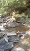 Trekking rzeczny.Wyprawy,Wycieczki-ŻYWIEC.Beskidy - 7