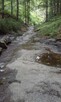 Trekking rzeczny.Wyprawy,Wycieczki-ŻYWIEC.Beskidy - 6