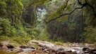 Bushcraft,Survival,Trekking-Organizacja wypraw-Beskidy. - 5