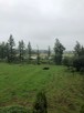 Działka z domem nad Dunajcem - 5