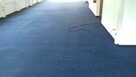 Profesjonalne Czyszczenie Wykładzin Dywanowych - 4