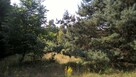 Działka Rolna położona w otulinie Bolimowskiego Parku Krajob - 3