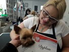 KURS GROOMINGU-STRZYŻENIE PSÓW ZAPRASZAMY SALON HAU-MIAŁ - 6