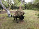 Ogrodnik Usługi Odnawianie zakładanie Trawnik z rolki - 1