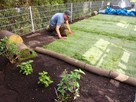 USŁUGI Ogrodnicze ODNAWIANIE zakładanie trawa z rolki - 3