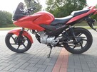 Honda CBF 125 na kat B - 3