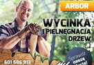 ARBOR 601 586 913 Pielęgnacja i Wycinka drzew Wrocław. - 2