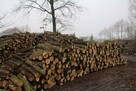 Drewno Kominkowe Opałowe Sezonowane - 3